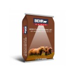 BỘT TRÉT TƯỜNG NỘI THẤT BEHR - HIGH CLASS COATING.INT BỘT TRÉT TƯỜNG NỘI THẤT BEHR - HIGH CLASS COATING.INT