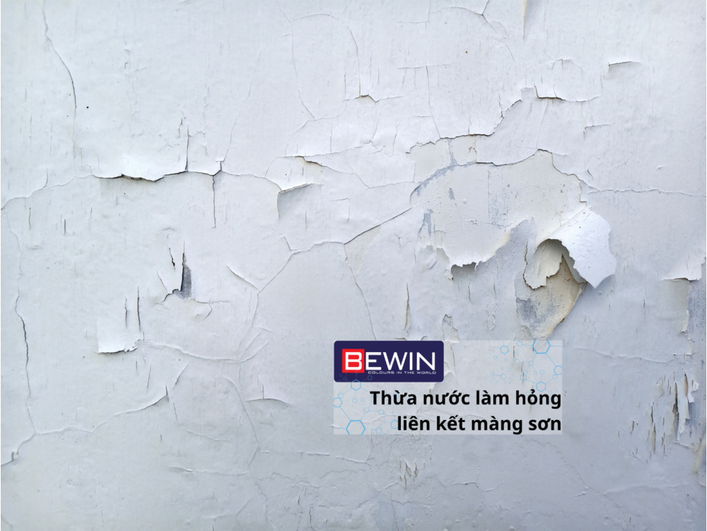 Có Nên Pha Nước Vào Sơn Tường Không?  Hướng Dẫn Pha Sơn Đúng Tỷ Lệ Để Đảm Bảo Độ Bền