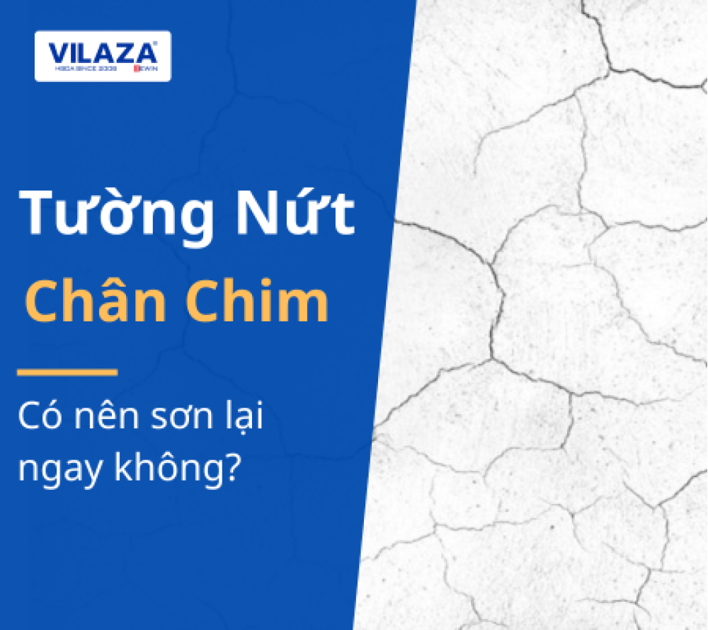 Tường bị nứt chân chim: Có nên sơn lại ngay không?