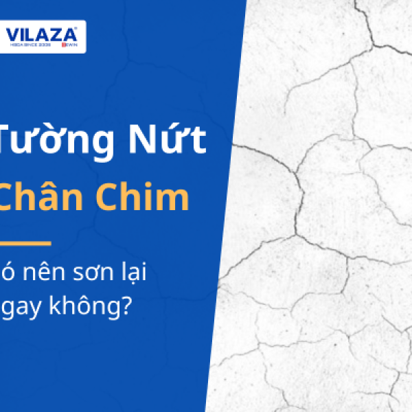 Tường bị nứt chân chim: Có nên sơn lại ngay không? Tường bị nứt chân chim: Có nên sơn lại ngay không?